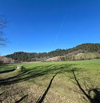 Foto annuncio 19