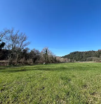 Foto annuncio 22