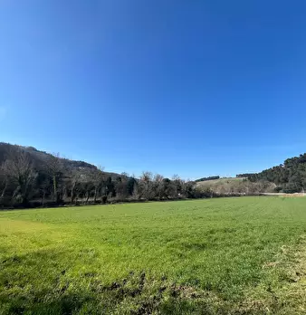 Foto annuncio 24