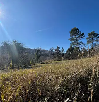 Foto annuncio 26