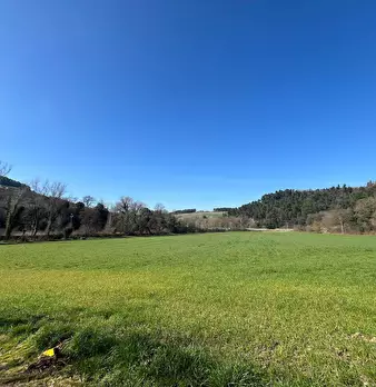 Foto annuncio 27