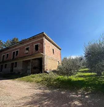 Foto annuncio 12