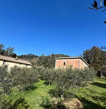 Foto annuncio 9
