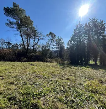 Foto annuncio 31