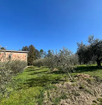 Foto annuncio 10
