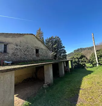 Foto annuncio 7