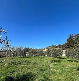 Foto annuncio 36