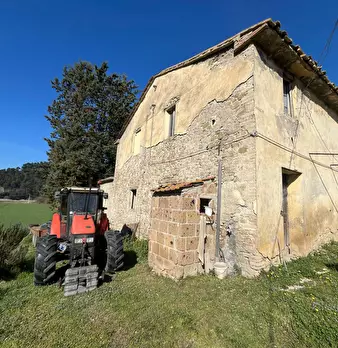 Foto annuncio 4