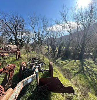 Foto annuncio 39