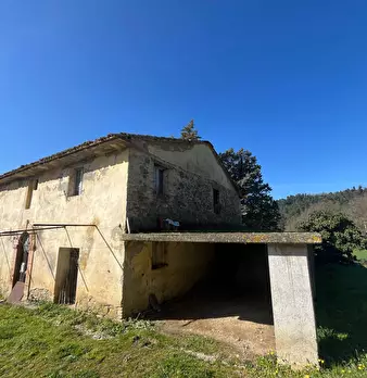Foto annuncio 6