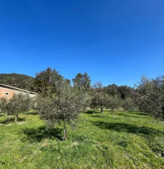 Foto annuncio 44