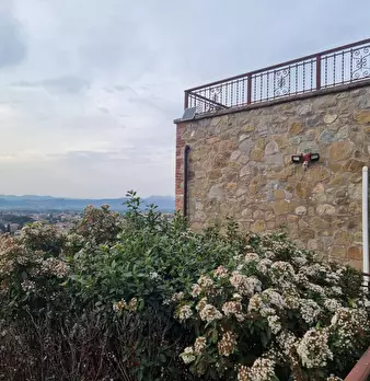 Foto annuncio 8