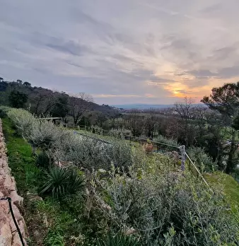 Foto annuncio 10