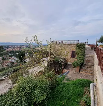 Foto annuncio 11
