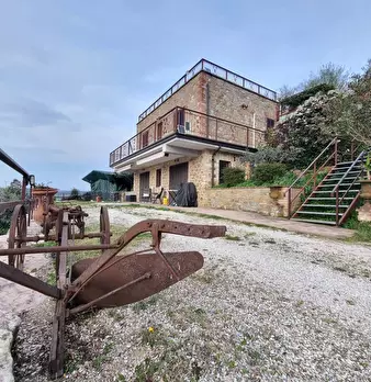 Foto annuncio 12