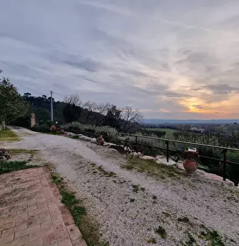 Foto annuncio 16