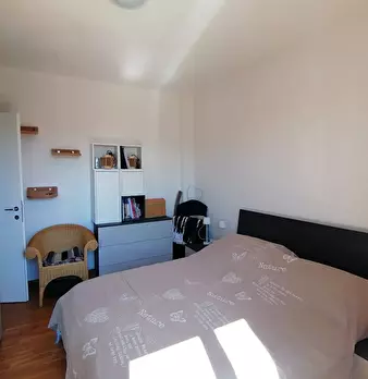 Foto annuncio 5