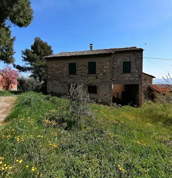 Foto annuncio 3