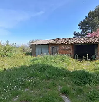 Foto annuncio 5