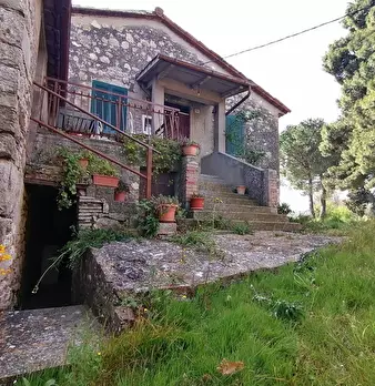 Foto annuncio 7
