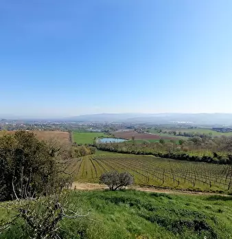 Foto annuncio 18