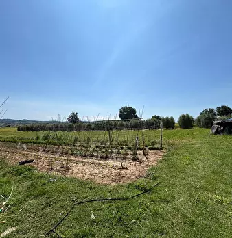 Foto annuncio 4