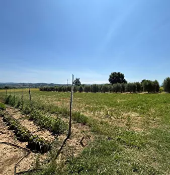 Foto annuncio 6