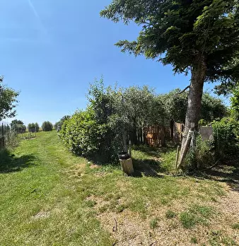 Foto annuncio 11