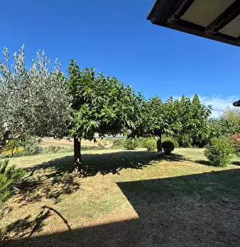 Foto annuncio 19