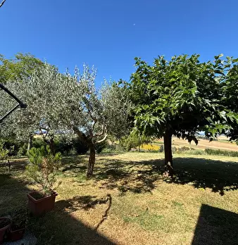 Foto annuncio 23