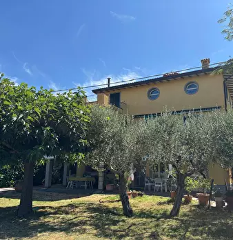 Foto annuncio 77