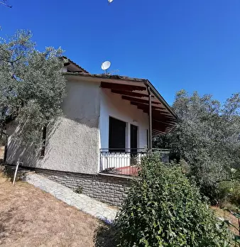 Foto annuncio 3