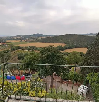 Foto annuncio 14