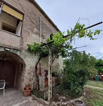 Foto annuncio 13