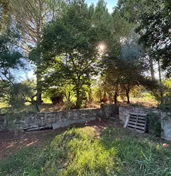 Foto annuncio 4