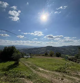 Foto annuncio 5