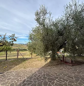 Foto annuncio 8