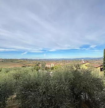 Foto annuncio 35