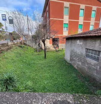 Foto annuncio 5