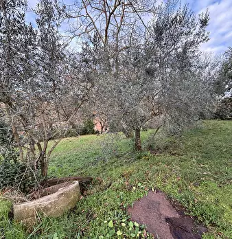 Foto annuncio 30