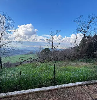 Foto annuncio 2