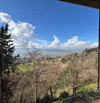 Foto annuncio 24