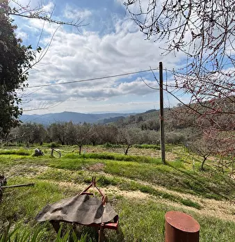 Foto annuncio 6