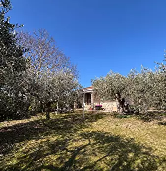 Foto annuncio 3