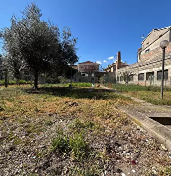 Foto annuncio 5