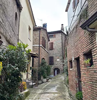 Foto annuncio 19