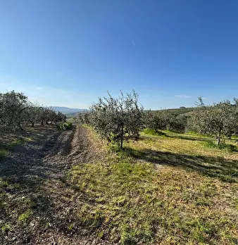 Foto annuncio 18