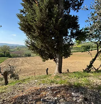Foto annuncio 19