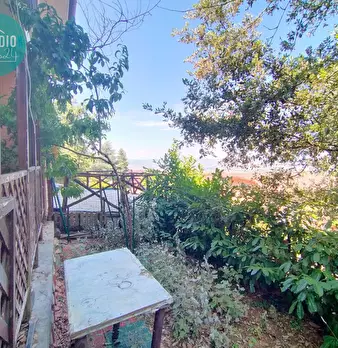 Foto annuncio 17