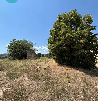 Foto annuncio 20